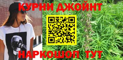 mdpv Краснознаменск